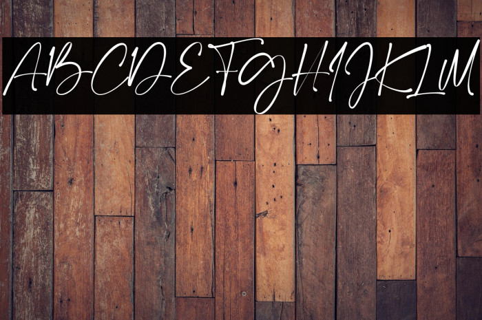 Calton Elegance Script Example 1