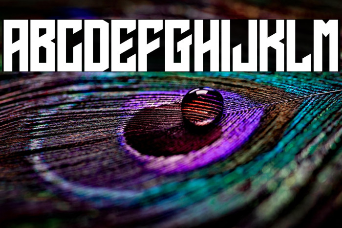 Calvera Personal Use Example 3