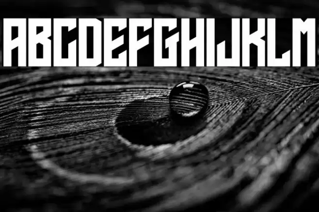 Calvera Personal Use Font examples