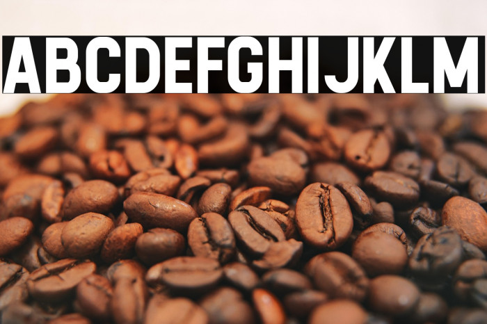 Calvier Bold Example 1