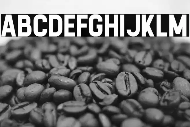 Calvier Bold Font examples