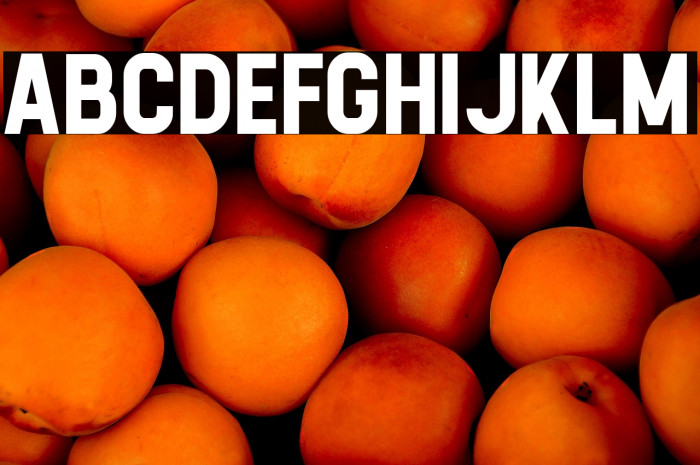 Calvier Bold Example 2