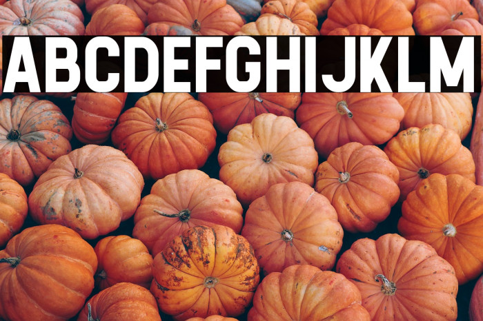 Calvier Bold Example 3