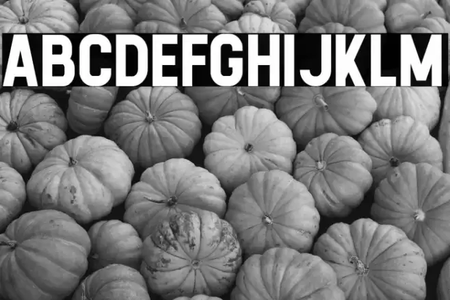 Calvier Bold Font examples