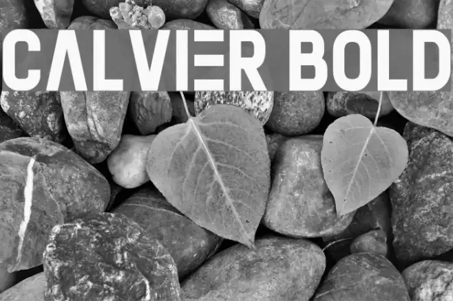 Calvier Bold Font examples
