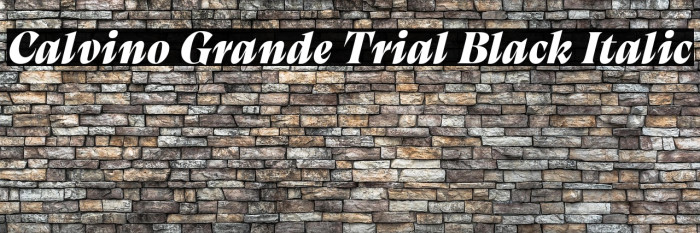 Calvino Grande Trial Black Italic Example 2