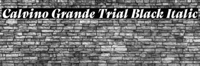 Calvino Grande Trial Black Italic Font examples
