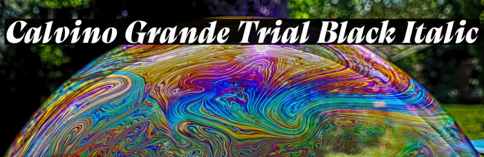 Calvino Grande Trial Black Italic Example 3