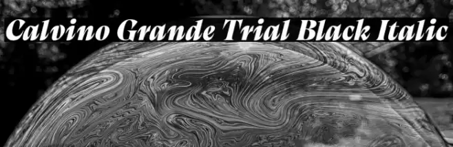 Calvino Grande Trial Black Italic Font examples