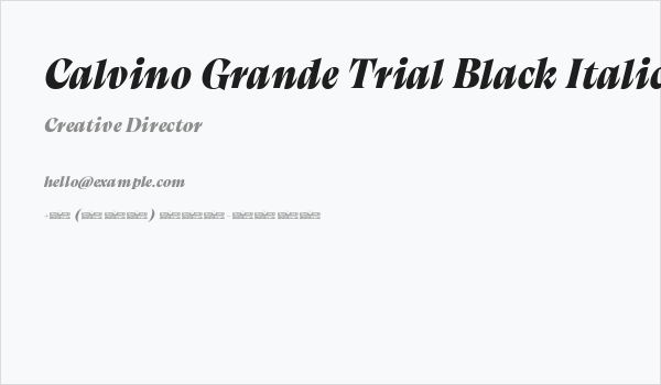 Calvino Grande Trial Black Italic Business Card