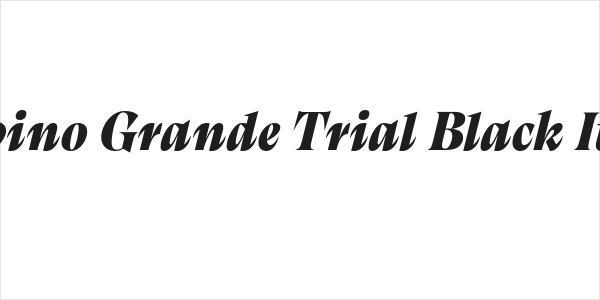 Calvino Grande Trial Black Italic Logo