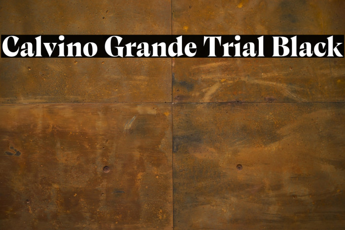 Calvino Grande Trial Black Example 1