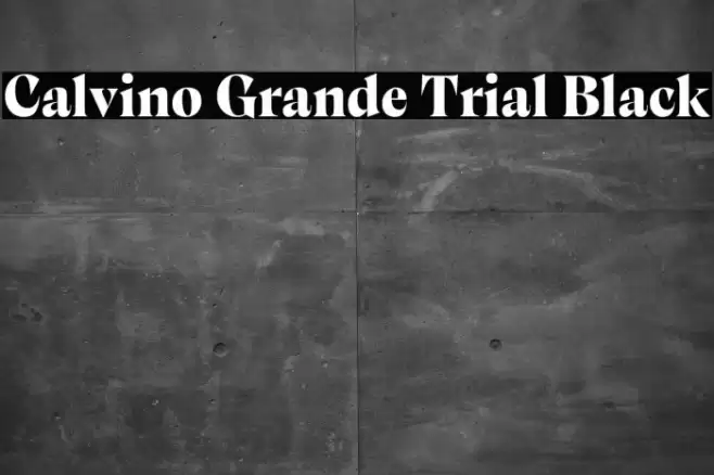 Calvino Grande Trial Black Font examples