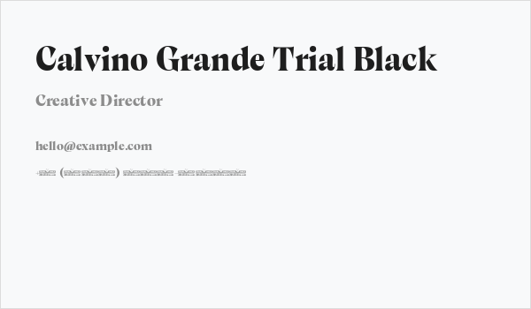 Calvino Grande Trial Black Business Card