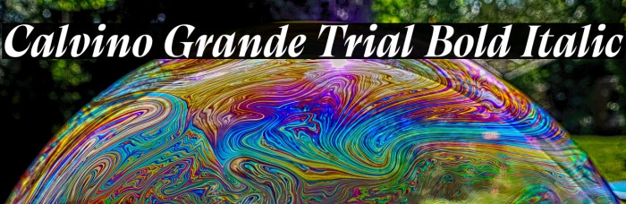 Calvino Grande Trial Bold Italic Example 1