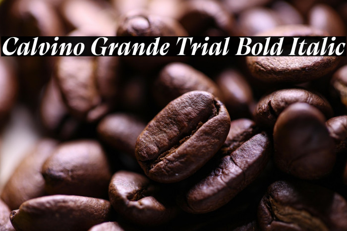 Calvino Grande Trial Bold Italic Example 2