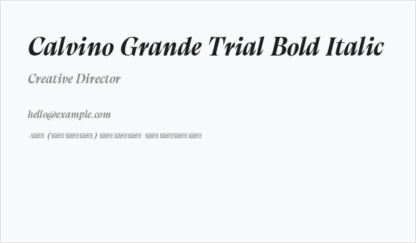 Calvino Grande Trial Bold Italic Business Card