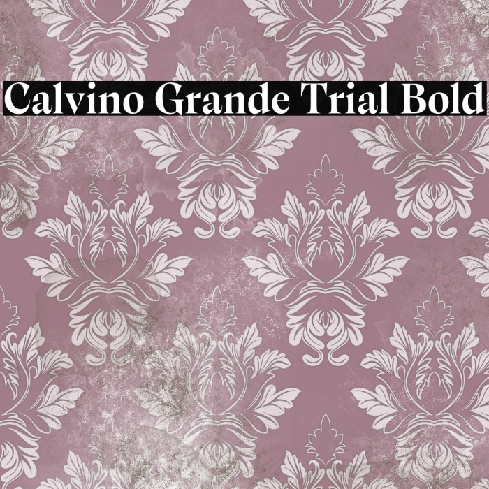 Calvino Grande Trial Bold Example 1