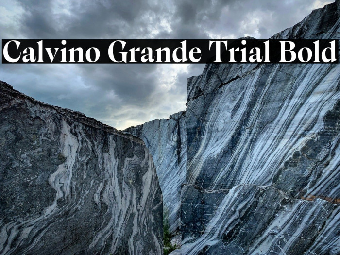 Calvino Grande Trial Bold Example 2