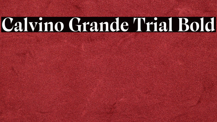 Calvino Grande Trial Bold Example 3