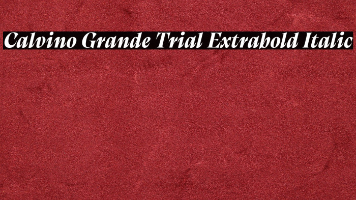 Calvino Grande Trial Extrabold Italic Example 2