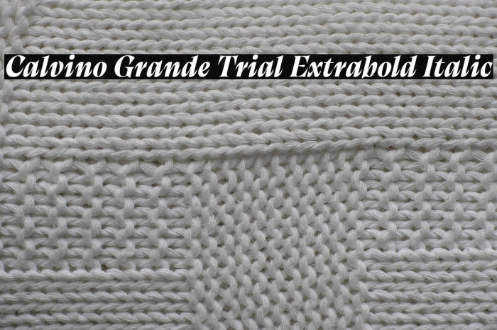 Calvino Grande Trial Extrabold Italic Example 3