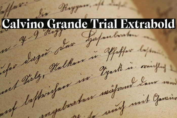Calvino Grande Trial Extrabold Example 1