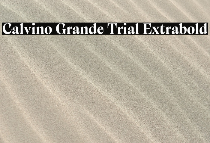 Calvino Grande Trial Extrabold Example 3