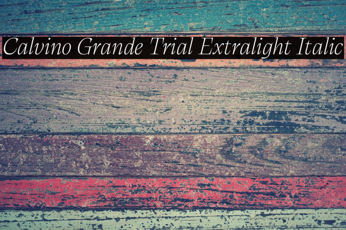 Calvino Grande Trial Extralight Italic Example 1