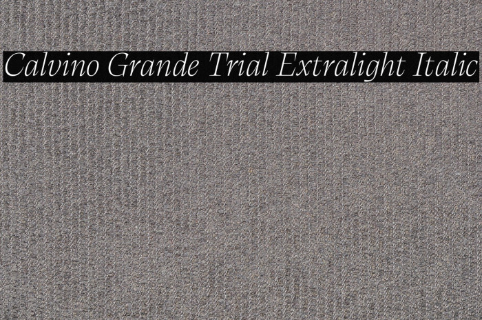 Calvino Grande Trial Extralight Italic Example 3