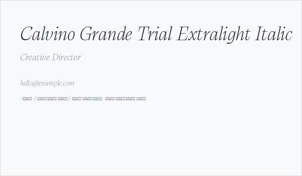 Calvino Grande Trial Extralight Italic Business Card