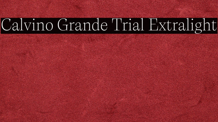 Calvino Grande Trial Extralight Example 1
