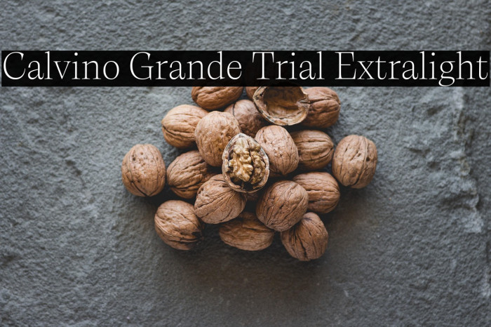 Calvino Grande Trial Extralight Example 2