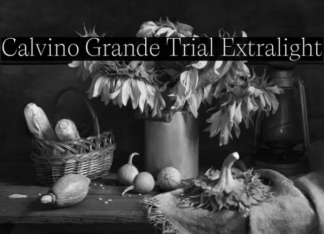 Calvino Grande Trial Extralight Font examples