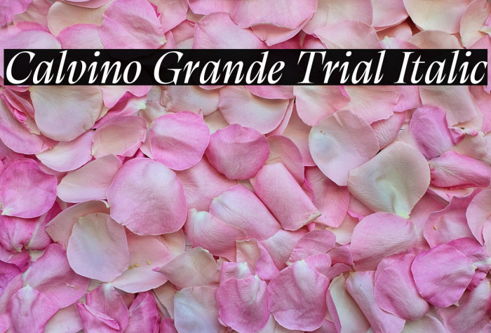 Calvino Grande Trial Italic Example 1