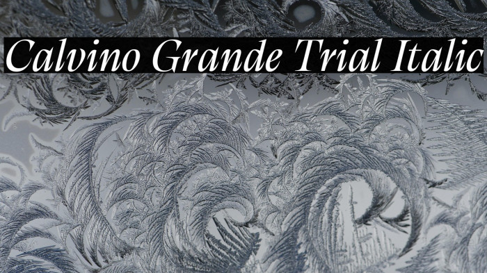 Calvino Grande Trial Italic Example 2