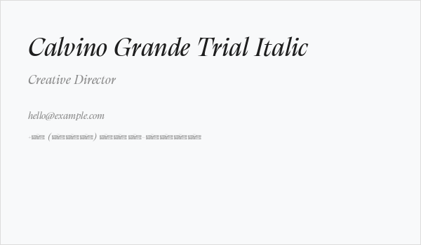 Calvino Grande Trial Italic Business Card