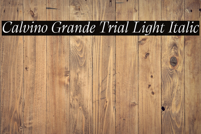 Calvino Grande Trial Light Italic Example 3