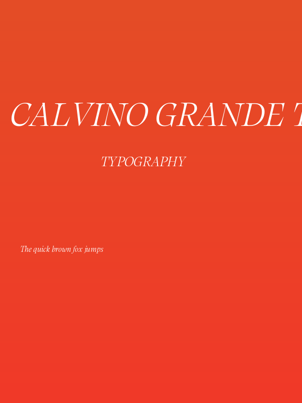 Calvino Grande Trial Light Italic Poster