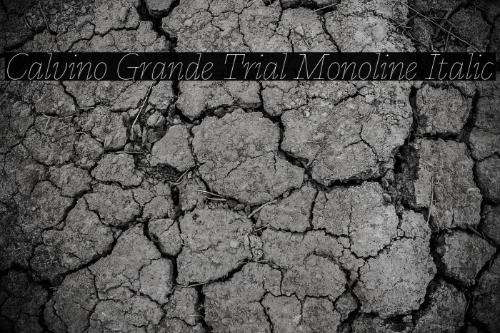 Calvino Grande Trial Monoline Italic Example 2