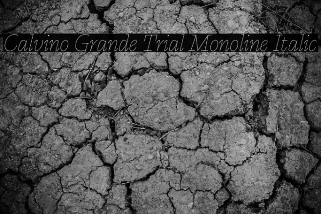Calvino Grande Trial Monoline Italic Font examples