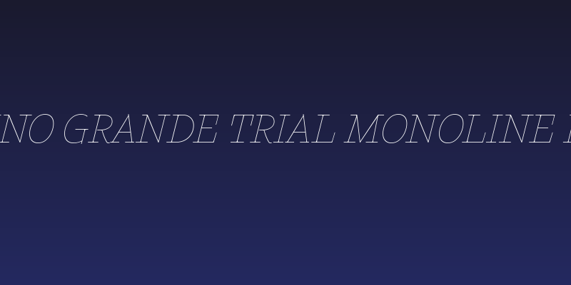 Calvino Grande Trial Monoline Italic Social Header