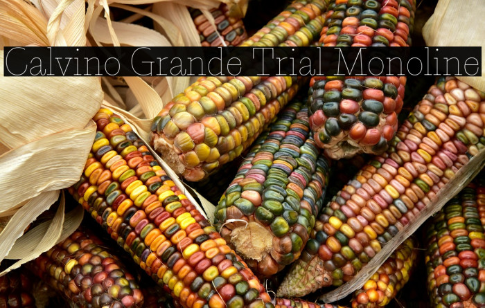 Calvino Grande Trial Monoline Example 1