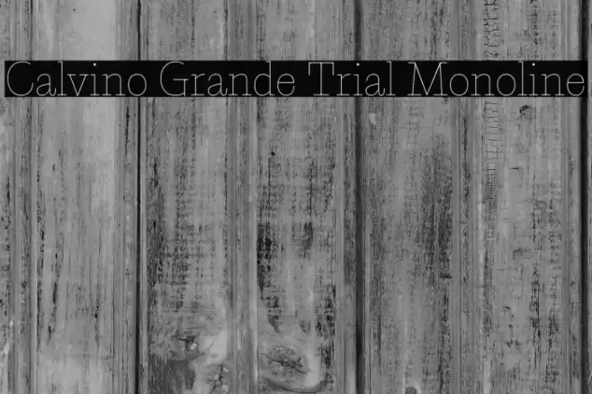 Calvino Grande Trial Monoline Font examples