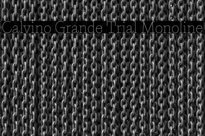 Calvino Grande Trial Monoline Font examples