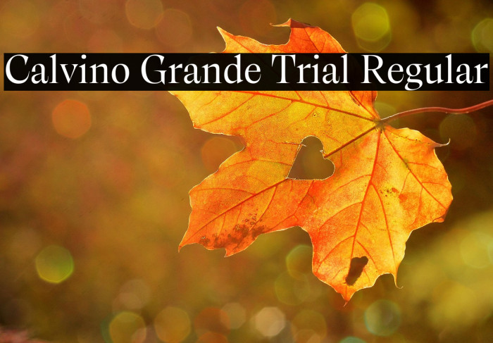 Calvino Grande Trial Regular Example 3