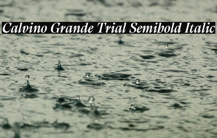 Calvino Grande Trial Semibold Italic Example 1