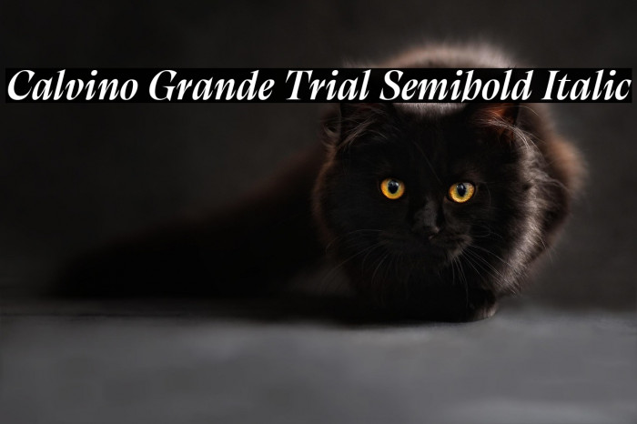 Calvino Grande Trial Semibold Italic Example 2