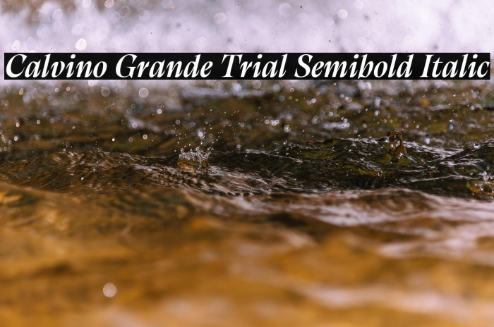 Calvino Grande Trial Semibold Italic Example 3