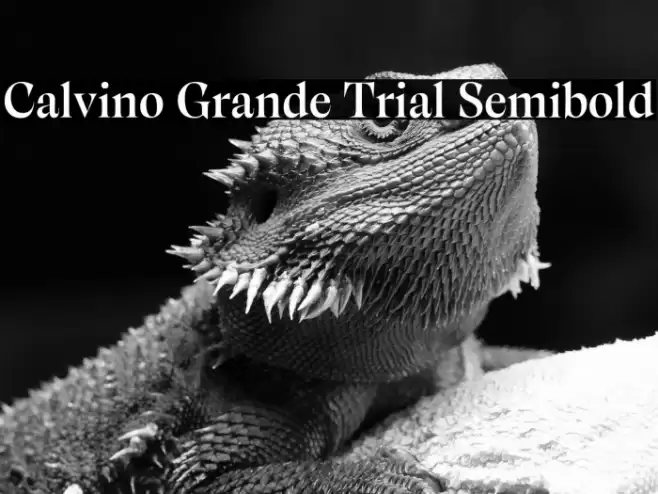 Calvino Grande Trial Semibold Font examples